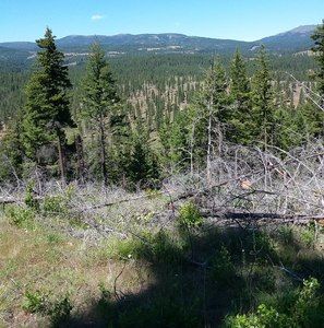 Meet your Posher, Lee